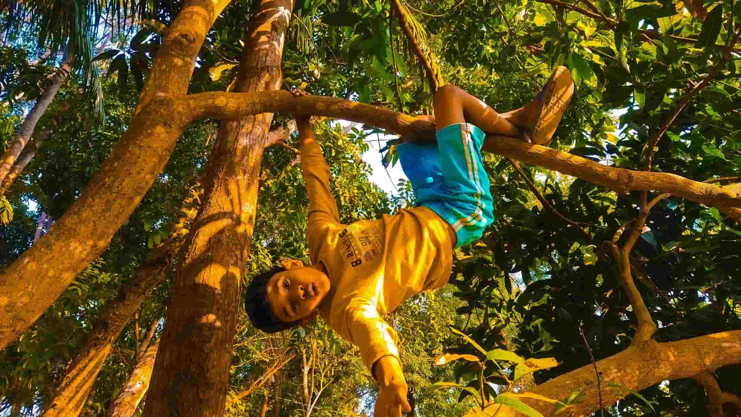 Høyt & Lavt climbing park